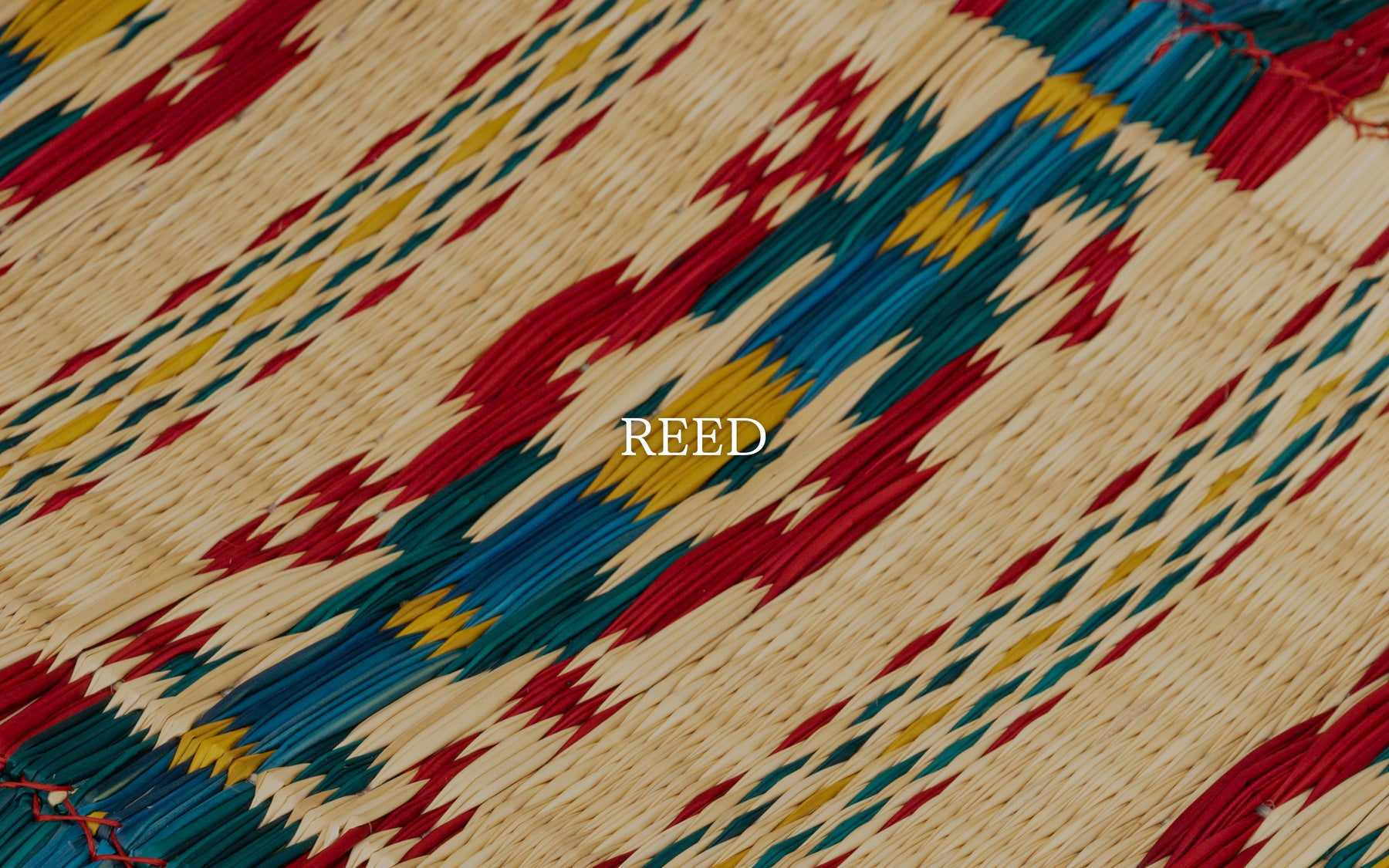 Reed